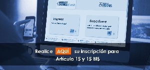 art15-15bis.jpg
